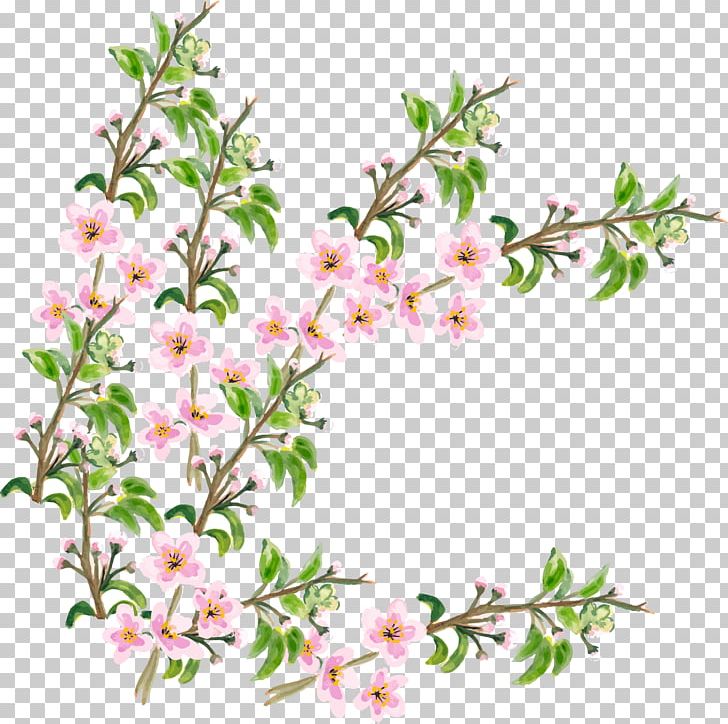 Flower Cherry Blossom PNG, Clipart, Artworks, Blossom, Branch, Branches, Branch Vector Free PNG Download
