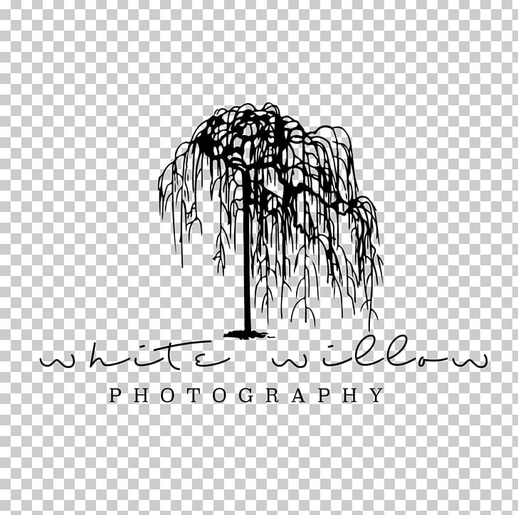 Salix Alba Graphic Design Logo Tree Photography PNG, Clipart, Artwork, Biggest, Black And White, Brand, Calligraphy Free PNG Download