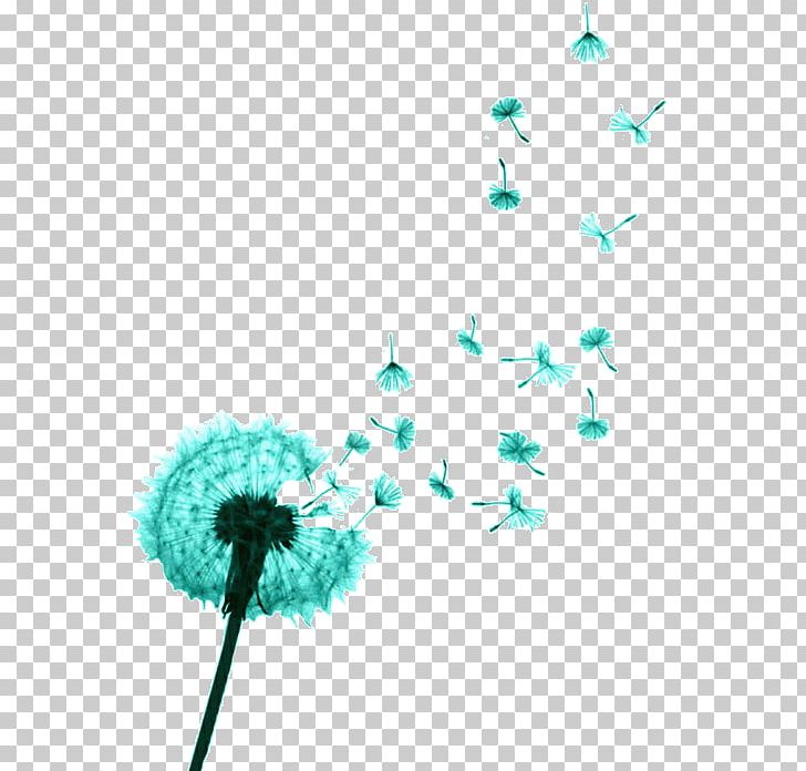 Abziehtattoo Dandelion Beauty PNG, Clipart, Aqua, Beauty, Color, Computer Wallpaper, Dandelion Free PNG Download