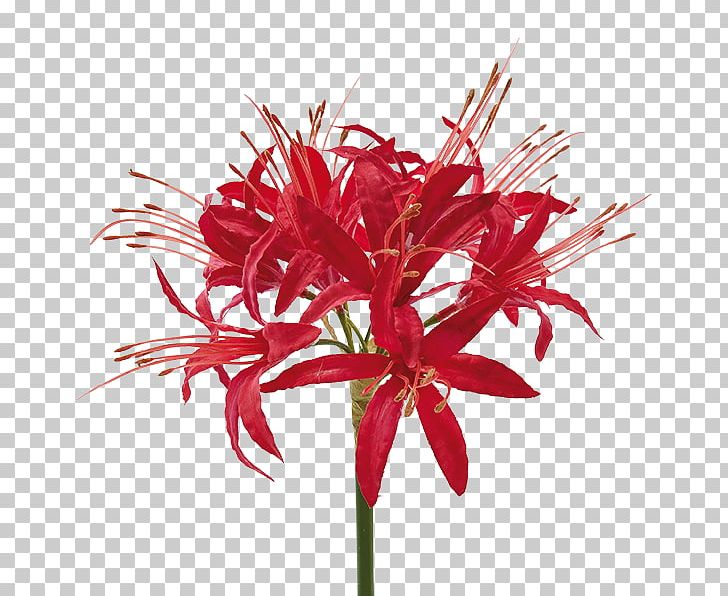 Floral Design Cut Flowers Plant Stem Petal PNG, Clipart, Cut Flowers, Deko, Flora, Floral Design, Floristry Free PNG Download