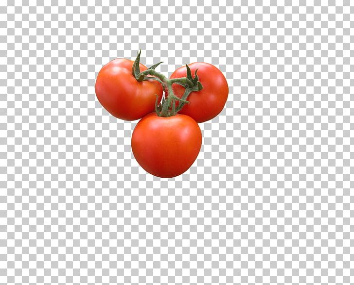 Plum Tomato Vegetable Bush Tomato PNG, Clipart, Auglis, Cherry Tomato, Diet Food, Food, Fruit Free PNG Download