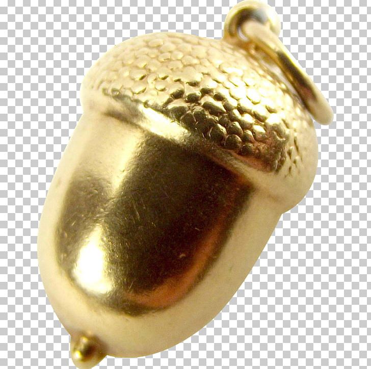 01504 Metal Jewellery PNG, Clipart, 01504, Acorn, Brass, Jewellery, Metal Free PNG Download