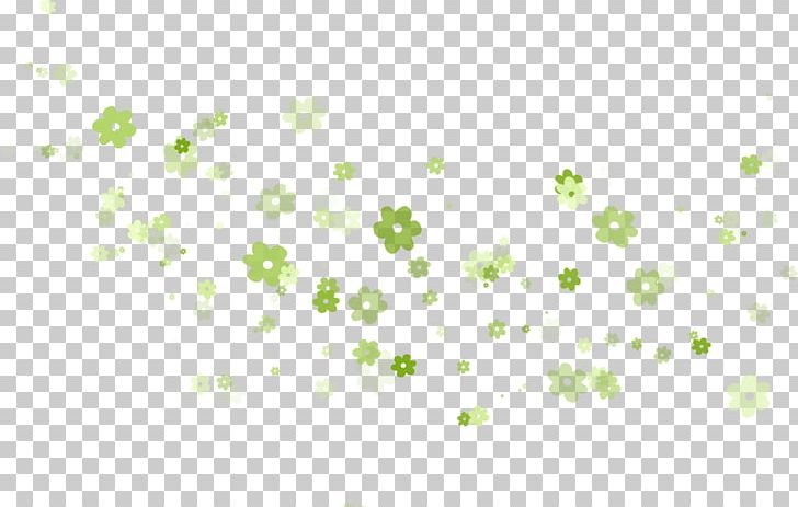 Flower Color Green Yandex Search PNG, Clipart, Branch, Circle, Color, Computer Wallpaper, Flora Free PNG Download