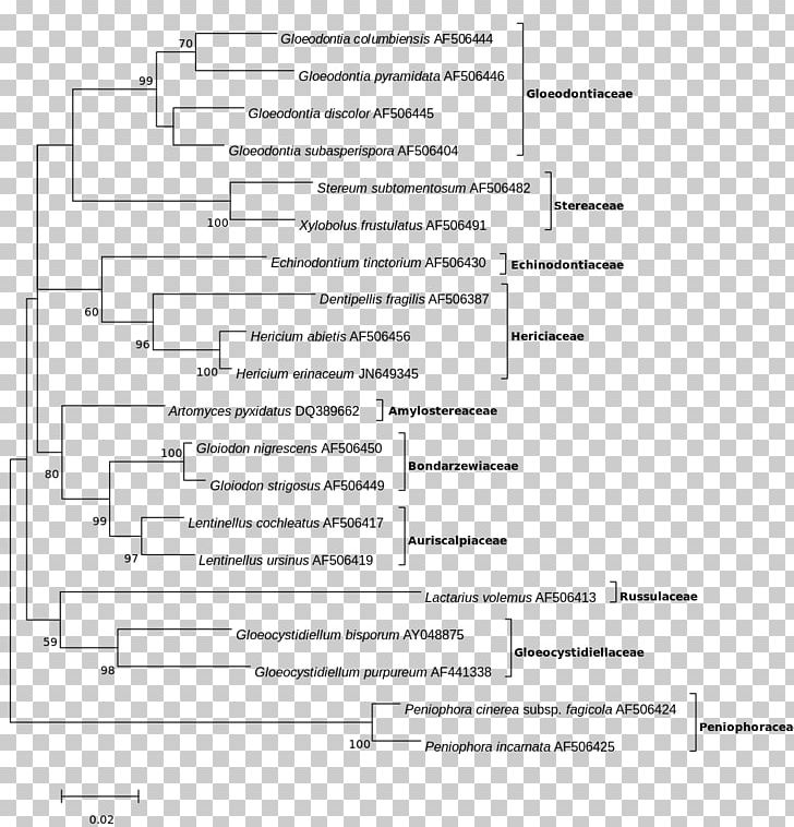Maximum Likelihood Estimation Phylogenetic Tree Likelihood Function Maxima And Minima Molecular Phylogenetics PNG, Clipart, Angle, Area, Black And White, Diagram, Document Free PNG Download