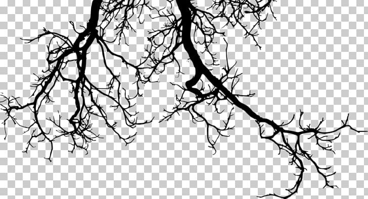 Branch Tree PNG, Clipart, Artwork, Black And White, Branch, Drawing, Flora Free PNG Download
