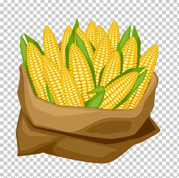 Corn On The Cob Maize Corncob PNG, Clipart, Bag, Baogu, Cartoon, Cartoon Corn, Commodity Free PNG Download