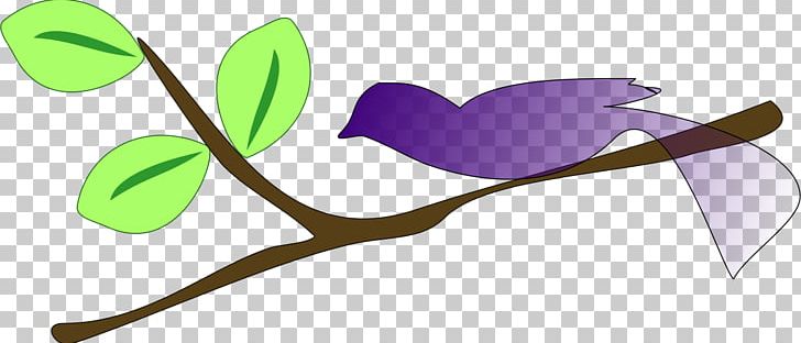 Branch Tree Trunk PNG, Clipart, Bay Laurel, Branch, Brand, Color, Flower Free PNG Download