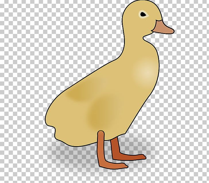 Duck Mallard Open Goose PNG, Clipart, Beak, Bird, Chicken, Download, Duck Free PNG Download