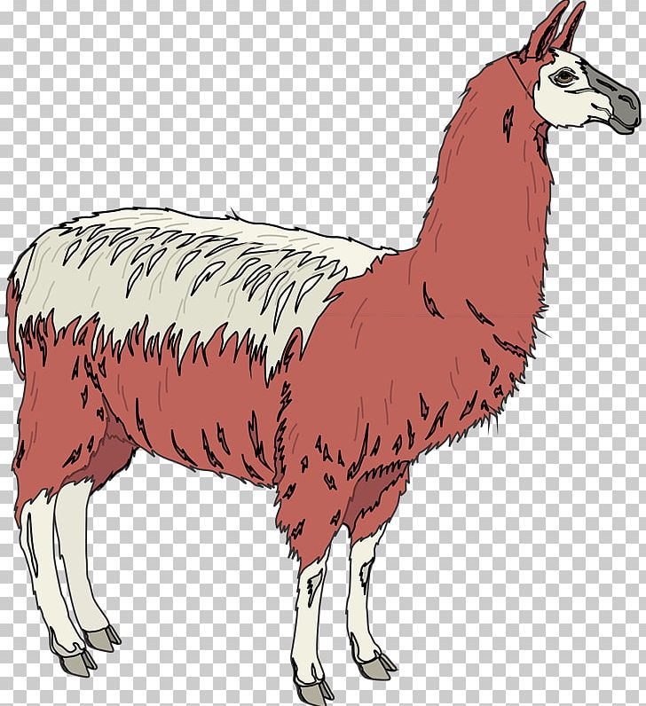 Llama Sheep Alpaca Animal PNG, Clipart, Alpaca, Animal, Animal Figure, Camel Like Mammal, Cattle Free PNG Download