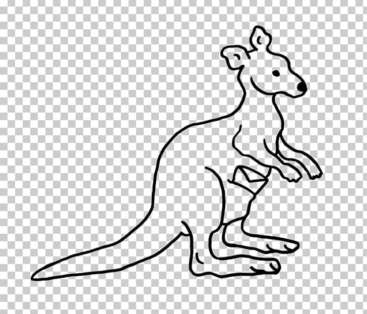 Kangaroo Macropodidae Whiskers Canidae Dog PNG, Clipart, Animal, Animal Figure, Animals, Black And White, Canidae Free PNG Download
