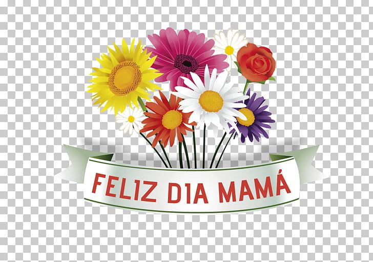 Mother's Day Transvaal Daisy PNG, Clipart,  Free PNG Download