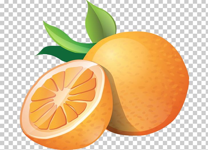 Orange Fruit PNG, Clipart, Bitter Orange, Blog, Chenpi, Citric Acid, Citrus Free PNG Download