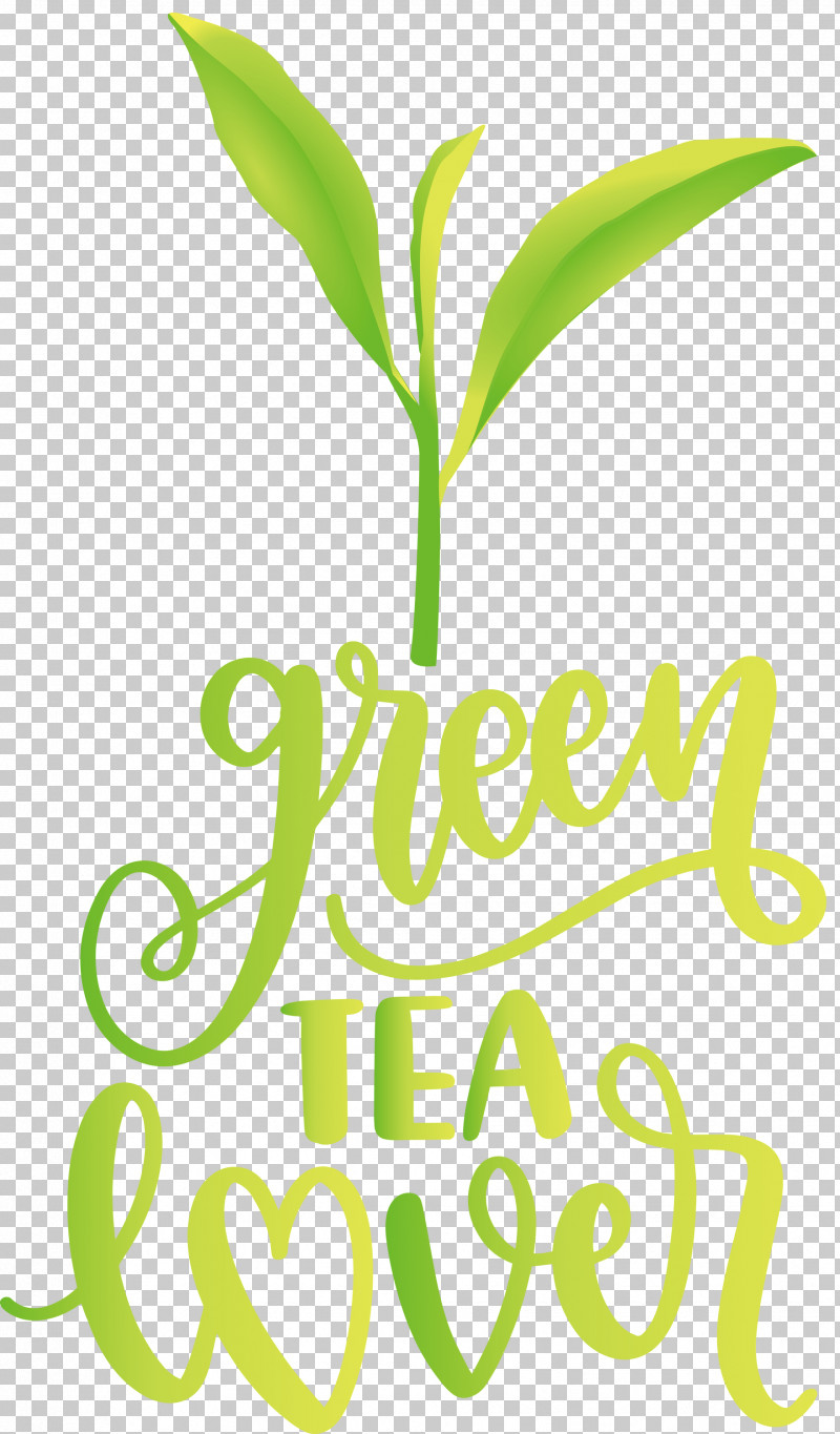 Green Tea Lover Tea PNG, Clipart, Herbal Medicine, Leaf, Logo, M, Meter Free PNG Download
