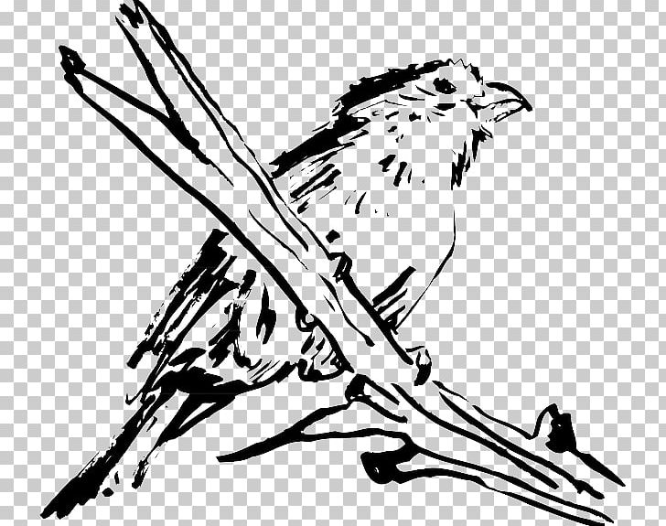 Bird Beak Feather Wing PNG, Clipart, Animals, Art, Artwork, Beak, Bird Free PNG Download
