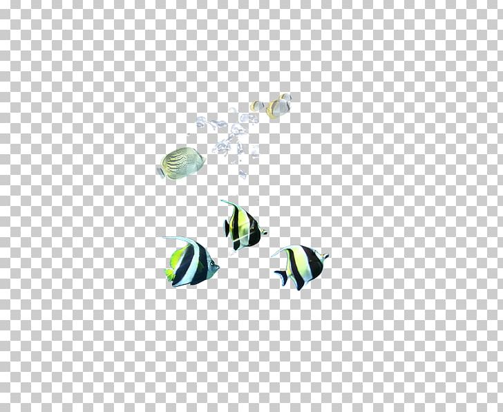 Fish Euclidean Seabed PNG, Clipart, Animals, Aquarium Fish, Aquatic, Aquatic Plants, Aquatic Product Free PNG Download