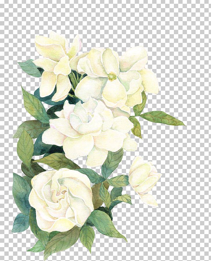Flower If(we) PNG, Clipart, Artificial Flower, Cut Flowers, Decorative Patterns, Encapsulated Postscript, Flower Arranging Free PNG Download