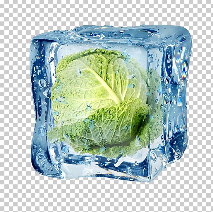 Freezing Frozen Food Ice Cube Vegetable PNG, Clipart, Cabbage, Cartoon, Chinese Cabbage, Cooking, Elsa Frozen Free PNG Download