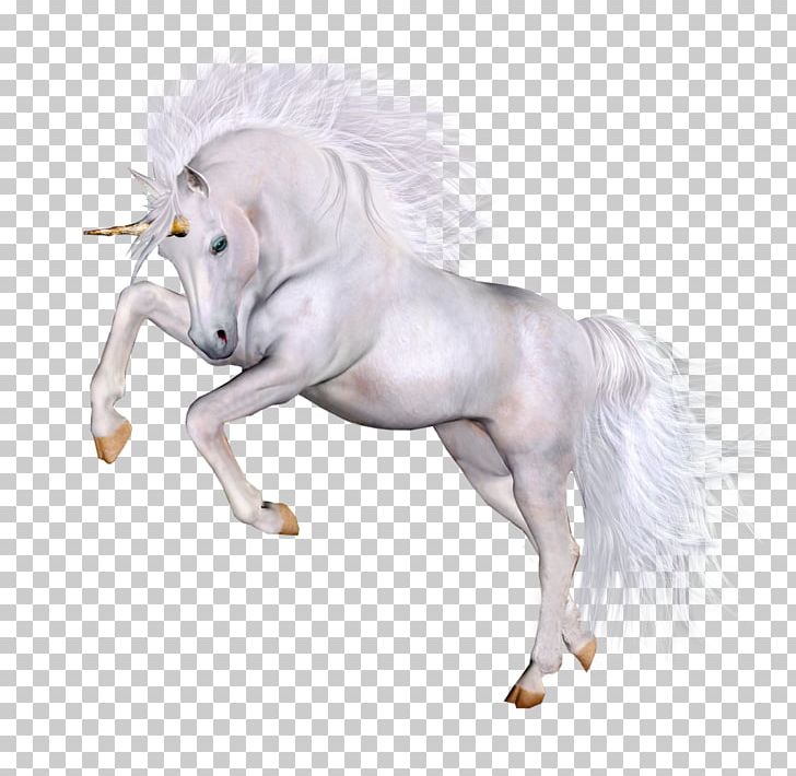 Horse Unicorn PNG, Clipart, Animals, Bit, Download, Fictional Character, Figurine Free PNG Download