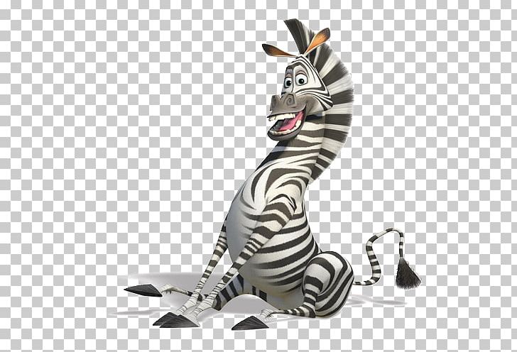 Zebra YouTube Madagascar Kowalski Film PNG, Clipart, Animal Figure, Animals, Animated Film, Fauna, Film Free PNG Download