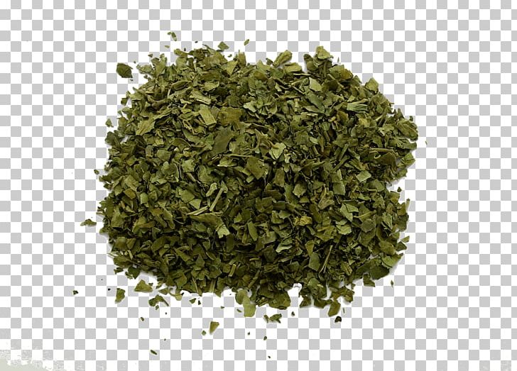 Gurmar Gymnemic Acid Herb Superfood Gymnema Inodorum PNG, Clipart, Ayurveda, Biluochun, Diabetes Mellitus, Dietary Supplement, Dried Leaves Free PNG Download