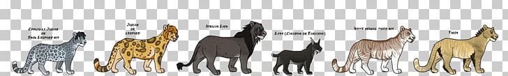 Homo Sapiens Dog Fur Mammal Font PNG, Clipart, Canidae, Dog, Dog Like Mammal, Fur, Homo Sapiens Free PNG Download