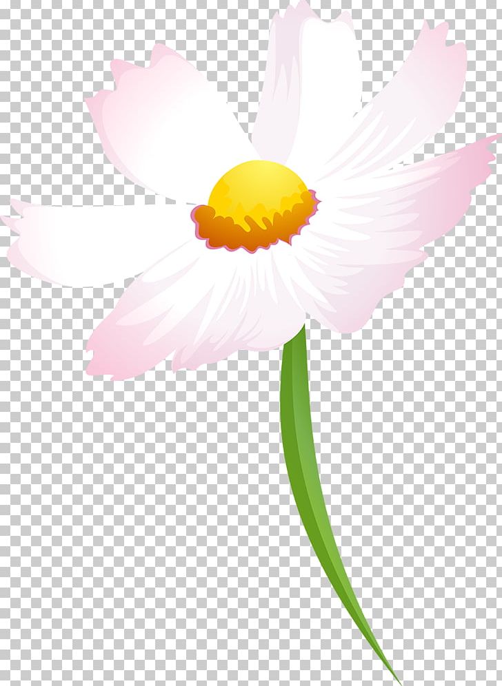 Flower Daisy Family Petal Desktop Plant PNG, Clipart, Closeup, Common Daisy, Computer, Computer Wallpaper, Cosmos Flower Free PNG Download