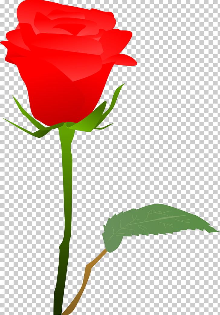 Garden Roses PNG, Clipart, Bud, Carnation, Computer Icons, Cut Flowers, Favicon Ico Free PNG Download