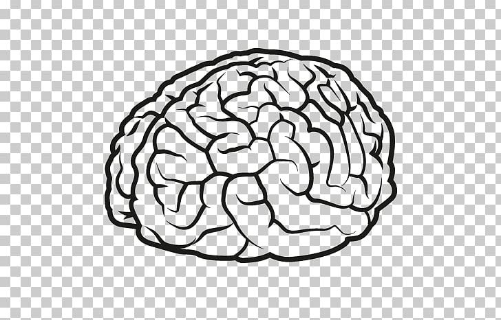 Human Brain Drawing Agy PNG, Clipart, Anatomy, Area, Black And White, Brain, Central Sulcus Free PNG Download