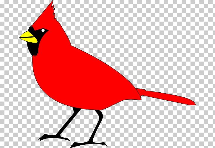 Northern Cardinal St. Louis Cardinals PNG, Clipart, Artwork, Beak, Bird, Black And White, Blog Free PNG Download
