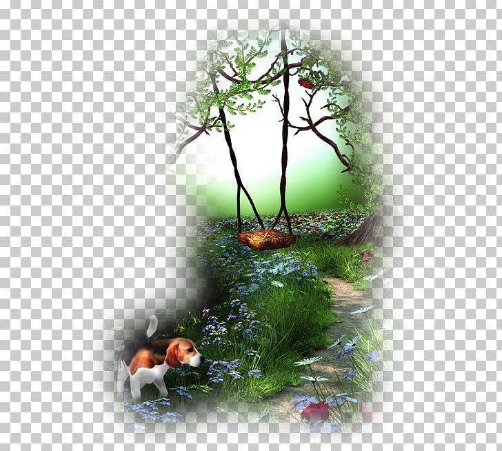 Water Garden Desktop PNG, Clipart, Branch, Computer Wallpaper, Desktop Wallpaper, Fundal, Garden Free PNG Download