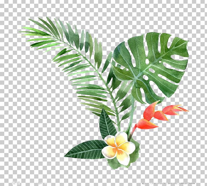 Watercolor Painting Drawing Plant Illustration PNG, Clipart, Art, Decorative Elements, Elements, Floral Border, Floral Design Free PNG Download