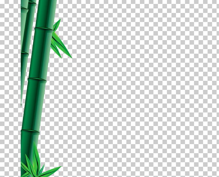 Bambusa Oldhamii Bamboo Bamboe Computer File PNG, Clipart, Angle, Background Green, Bamboe, Bamboo, Bamboo Leaves Free PNG Download