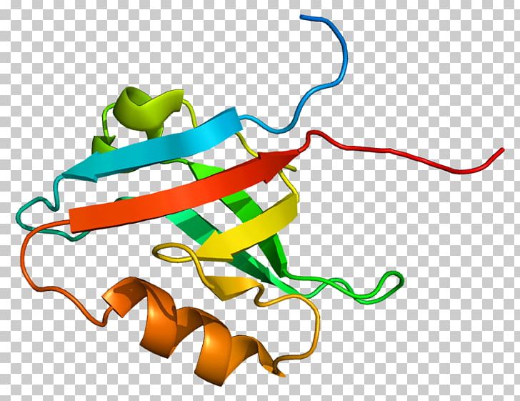 Sodium-hydrogen Exchange Regulatory Cofactor 2 Protein Hydrogen–deuterium Exchange Solute Carrier Family PNG, Clipart, Area, Artwork, Cofactor, Gene, Hydrogen Free PNG Download