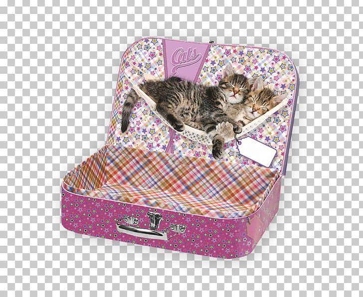 Tabby Cat Kitten Computer Mouse Mouse Mats PNG, Clipart, Animals, Box, Cat, Computer Mouse, Cuteness Free PNG Download