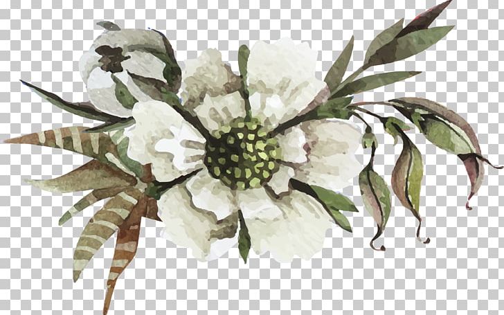 Flowers PNG, Clipart, Branch, Chemical Element, Cut Flowers, Decorative Patterns, Flora Free PNG Download