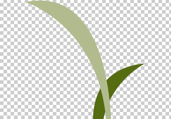 Leaf Logo Grasses Font PNG, Clipart, Campus Wind, Family, Grass, Grasses, Grass Family Free PNG Download