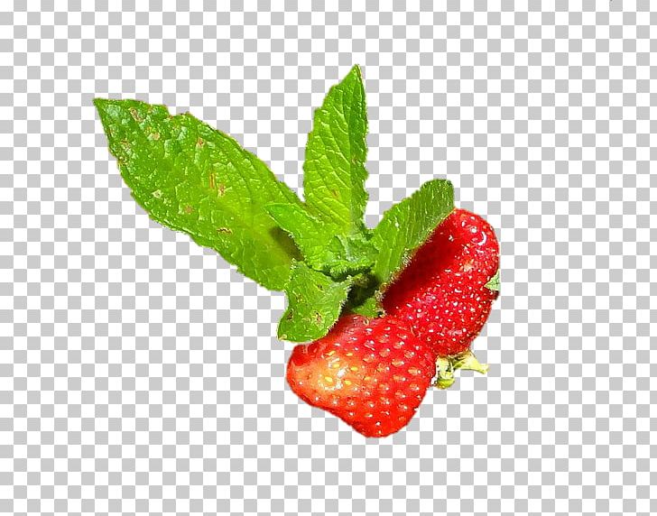 Strawberry Sorbet Auglis After Eight PNG, Clipart, 15 May, After Eight, Auglis, Berry, Cake Free PNG Download