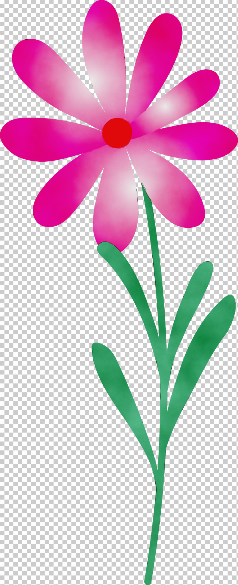 Floral Design PNG, Clipart, Branch, Cut Flowers, Floral Design, Flower, Herbaceous Plant Free PNG Download