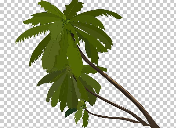 Animation Tree Arecaceae PNG, Clipart, Animated Cartoon, Animation, Arecaceae, Branch, Character Animation Free PNG Download