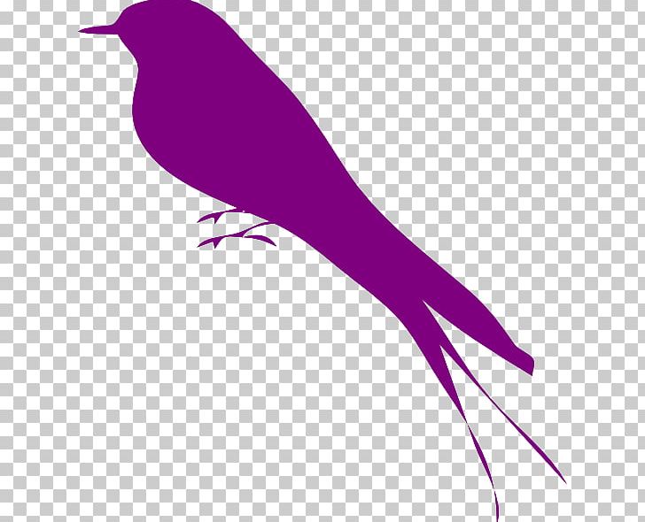 Bird Purple Scalable Graphics Violet PNG, Clipart, Beak, Bird, Bird Purple Png, Blue, Branch Free PNG Download