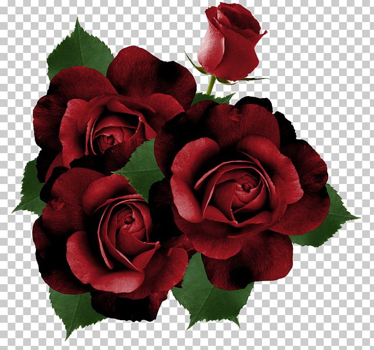 Garden Roses Flower PNG, Clipart, Artificial Flower, Birthday, Blog, Cicek, Cut Flowers Free PNG Download