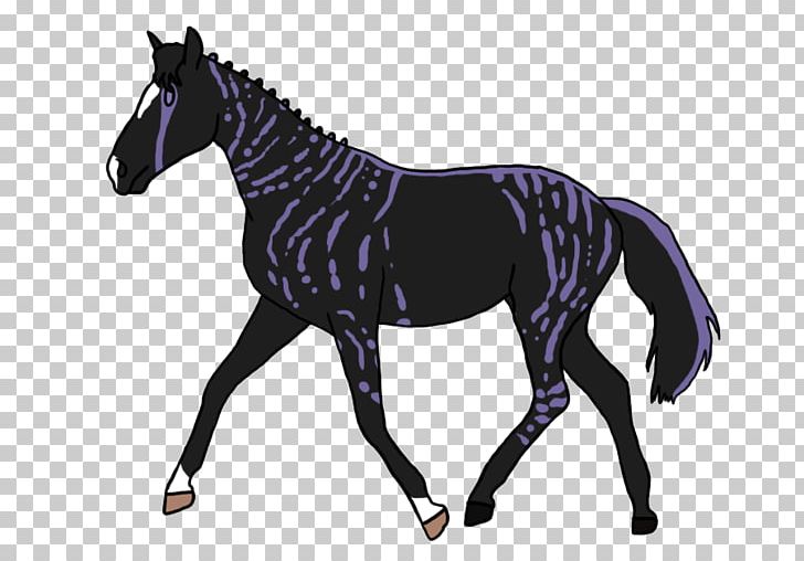 Horse Mare Shutterstock Stallion Graphics PNG, Clipart, Animal Figure, Animals, Bridle, Colt, Halter Free PNG Download