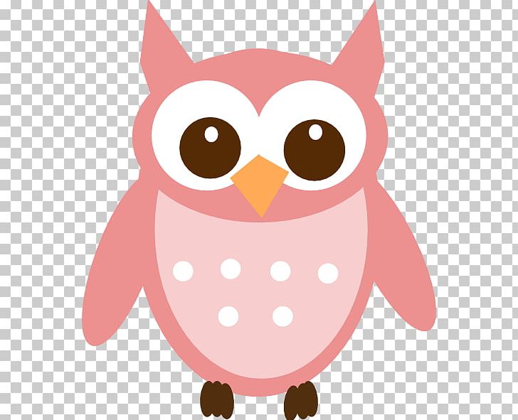 Baby Owls Great Grey Owl PNG, Clipart, Artwork, Baby Owls, Beak, Bird, Bird Of Prey Free PNG Download