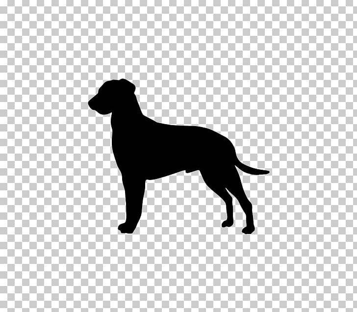 Dog Breed Dobermann Golden Retriever Great Dane T-shirt PNG, Clipart, Amazoncom, Animals, Black, Black And White, Breed Free PNG Download