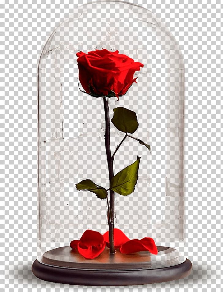 Garden Roses Laboratory Flasks Hydroponics Бутон Flower PNG, Clipart, Flower, Flower Bouquet, Flowering Plant, Garden Roses, Glass Free PNG Download