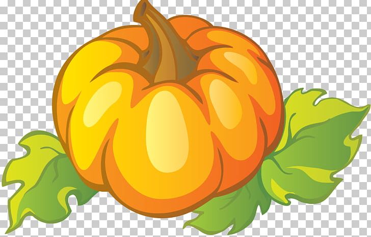 Jack-o'-lantern Pumpkin Calabaza Gourd PNG, Clipart, Calabaza, Facebook, Flower, Flowering Plant, Food Free PNG Download