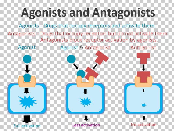 Receptor Antagonist Agonist-antagonist Dopamine PNG, Clipart, Agonistantagonist, Antagonist, Area, Bind, Brand Free PNG Download