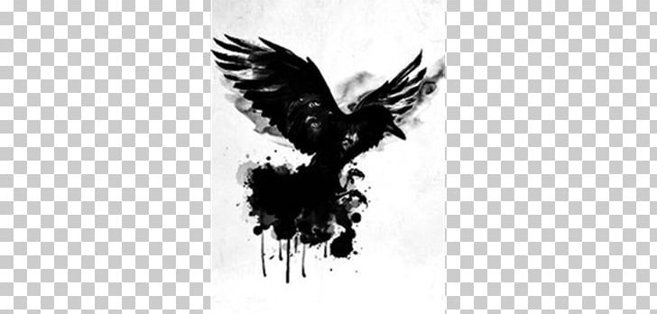 The Raven Cycle Common Raven The Dream Thieves Book PNG, Clipart, Bald Eagle, Beak, Bird, Bird Of Prey, Black And White Free PNG Download