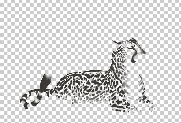 Felidae Cheetah Leopard Cat Jaguar PNG, Clipart, Animal, Animal Figure, Animals, Big Cat, Big Cats Free PNG Download