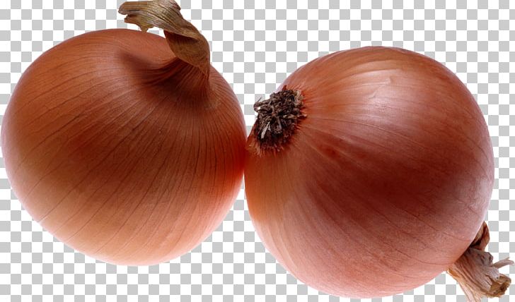 Onion PNG, Clipart, Blooming Onion, Computer Icons, Download, Food, Free Free PNG Download